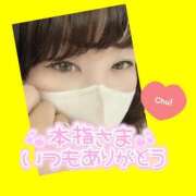 ヒメ日記 2025/05/31 06:00 投稿 今津すず 大阪ぽっちゃり妻
