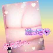 ヒメ日記 2025/06/14 08:25 投稿 今津すず 大阪ぽっちゃり妻