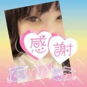 ヒメ日記 2025/07/31 17:37 投稿 今津すず 大阪ぽっちゃり妻