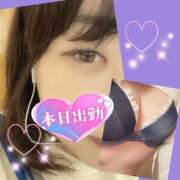 ヒメ日記 2025/08/29 08:49 投稿 今津すず 大阪ぽっちゃり妻