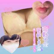 ヒメ日記 2025/11/09 11:00 投稿 今津すず 大阪ぽっちゃり妻