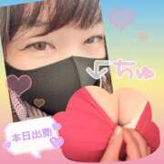 ヒメ日記 2025/12/12 05:15 投稿 今津すず 大阪ぽっちゃり妻