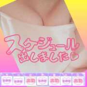 ヒメ日記 2026/01/20 08:01 投稿 今津すず 大阪ぽっちゃり妻