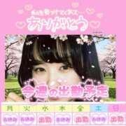 ヒメ日記 2026/04/11 14:44 投稿 今津すず 大阪ぽっちゃり妻