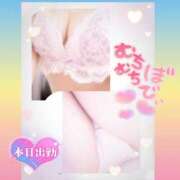 ヒメ日記 2026/04/15 08:01 投稿 今津すず 大阪ぽっちゃり妻