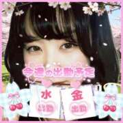 ヒメ日記 2026/04/20 15:04 投稿 今津すず 大阪ぽっちゃり妻