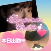 ヒメ日記 2026/04/22 08:01 投稿 今津すず 大阪ぽっちゃり妻