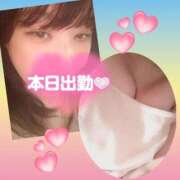 ヒメ日記 2026/05/12 08:01 投稿 今津すず 大阪ぽっちゃり妻