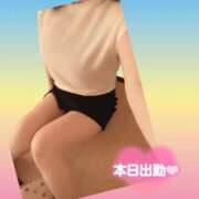 ヒメ日記 2026/05/13 08:02 投稿 今津すず 大阪ぽっちゃり妻