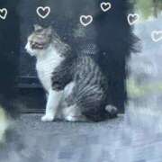 ヒメ日記 2025/06/24 19:01 投稿 さく わちゃわちゃ密着リアルフルーちゅ西船橋