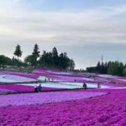 ヒメ日記 2025/05/03 16:04 投稿 いとう 埼玉★出張マッサージ委員会Z
