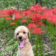 ヒメ日記 2025/10/07 15:07 投稿 いとう 埼玉★出張マッサージ委員会Z