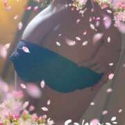 ヒメ日記 2026/03/09 12:00 投稿 れい モアグループ宇都宮人妻花壇