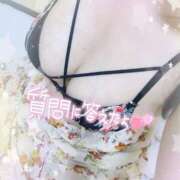 ヒメ日記 2025/07/28 14:15 投稿 もあ 多恋人倶楽部　宇部店