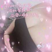 ヒメ日記 2025/11/09 12:04 投稿 もあ 多恋人倶楽部　宇部店