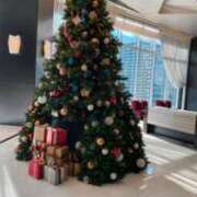 ヒメ日記 2024/12/13 11:41 投稿 前田 ゆうか ミスターダンディー