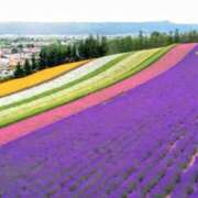 ヒメ日記 2025/03/02 08:03 投稿 前田 ゆうか ミスターダンディー