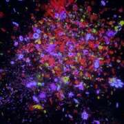 ヒメ日記 2025/03/17 07:42 投稿 前田 ゆうか ミスターダンディー