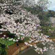 ヒメ日記 2025/03/29 20:29 投稿 前田 ゆうか ミスターダンディー