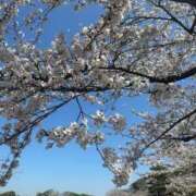 ヒメ日記 2025/04/05 19:23 投稿 前田 ゆうか ミスターダンディー