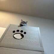 ヒメ日記 2025/04/22 04:42 投稿 前田 ゆうか ミスターダンディー