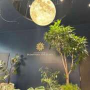 ヒメ日記 2025/04/29 09:53 投稿 前田 ゆうか ミスターダンディー