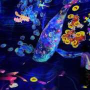 ヒメ日記 2025/05/08 10:23 投稿 前田 ゆうか ミスターダンディー