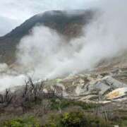 ヒメ日記 2025/06/03 08:43 投稿 前田 ゆうか ミスターダンディー