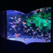 ヒメ日記 2025/08/25 10:43 投稿 前田 ゆうか ミスターダンディー