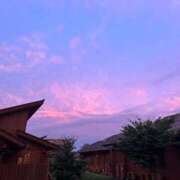 ヒメ日記 2025/09/26 23:13 投稿 前田 ゆうか ミスターダンディー