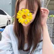 ヒメ日記 2026/06/25 08:23 投稿 前田 ゆうか ミスターダンディー