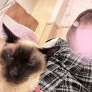 ヒメ日記 2026/03/02 20:29 投稿 ゆりか One More奥様　八王子店