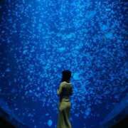 ヒメ日記 2025/03/18 08:54 投稿 みさき マリン宮殿水戸店