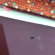 ヒメ日記 2025/03/25 21:04 投稿 みさき マリン宮殿水戸店