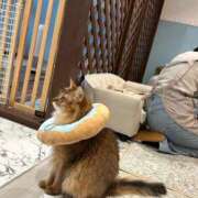 ヒメ日記 2025/12/06 15:04 投稿 みさき マリン宮殿水戸店