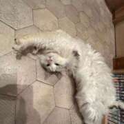 ヒメ日記 2025/12/26 10:06 投稿 みさき マリン宮殿水戸店