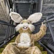 ヒメ日記 2024/12/14 20:14 投稿 ことね あとりえ(ATELIER)