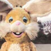 ヒメ日記 2025/01/02 21:39 投稿 ことね あとりえ(ATELIER)