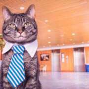 ヒメ日記 2025/02/03 08:52 投稿 ことね あとりえ(ATELIER)