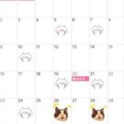 ヒメ日記 2025/03/24 09:11 投稿 ことね あとりえ(ATELIER)