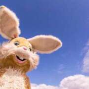 ヒメ日記 2025/05/17 14:22 投稿 ことね あとりえ(ATELIER)