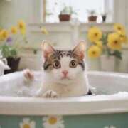 ヒメ日記 2025/09/01 08:41 投稿 ことね あとりえ(ATELIER)