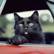 ヒメ日記 2026/03/25 22:22 投稿 ことね あとりえ(ATELIER)