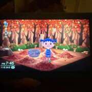 ヒメ日記 2025/11/24 19:56 投稿 みなみ マリン宇都宮店