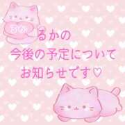 るか るかの今後の予定についてお知らせです‎🩷 ケープエンジェル