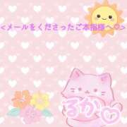 るか ※無題 ケープエンジェル
