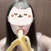 ヒメ日記 2025/08/05 07:00 投稿 すみれ る～ずそっくす柏店