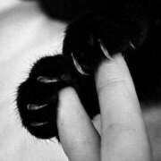 ヒメ日記 2024/12/20 11:42 投稿 つき 完熟ばなな千葉店