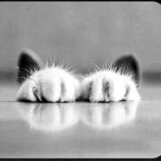 ヒメ日記 2025/01/15 21:42 投稿 つき 完熟ばなな千葉店