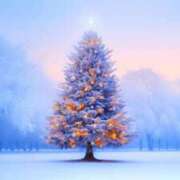 ヒメ日記 2025/12/02 11:32 投稿 つき 完熟ばなな千葉店